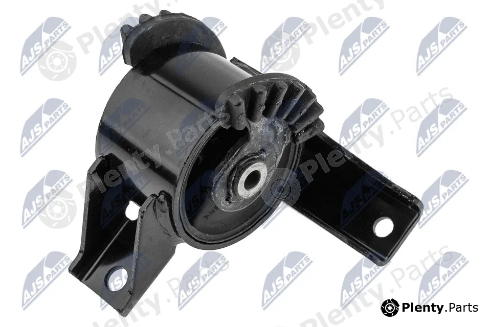 NTY ZPS-SU-012 — Mounting, engine