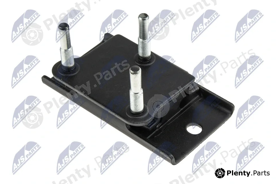 NTY ZPS-NS-076 — Mounting, engine