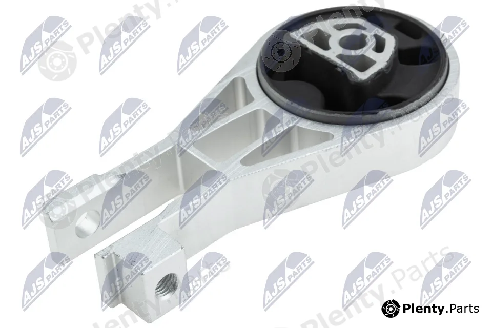 NTY ZPS-PL-064 — Mounting, engine