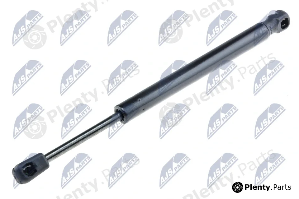 NTY AE-BM-009 — Gas Spring, boot/cargo area