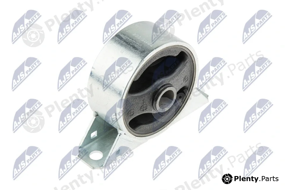 NTY ZPS-MS-004 — Mounting, engine