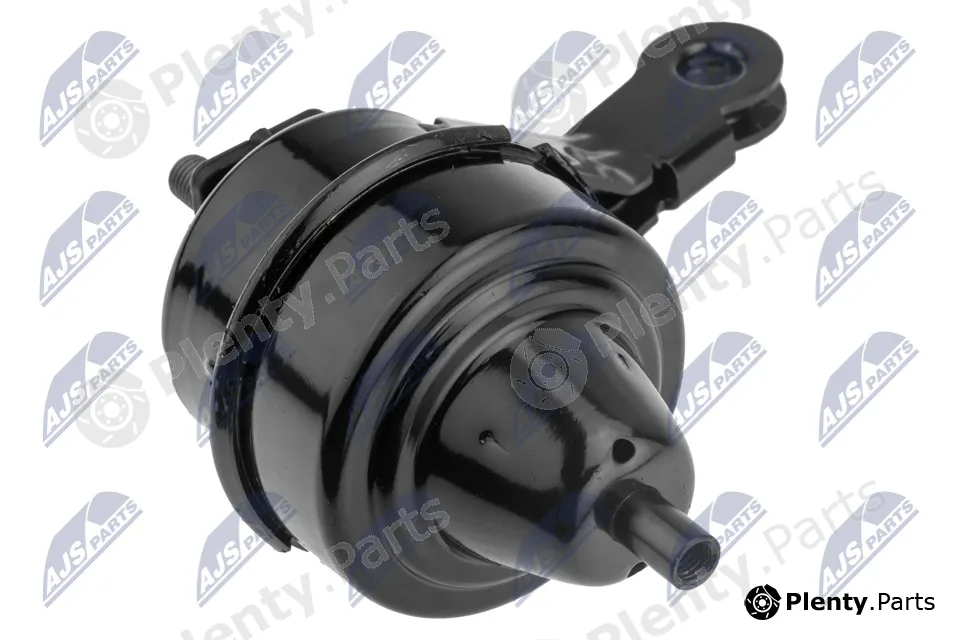 NTY ZPS-BM-034 — Mounting, engine