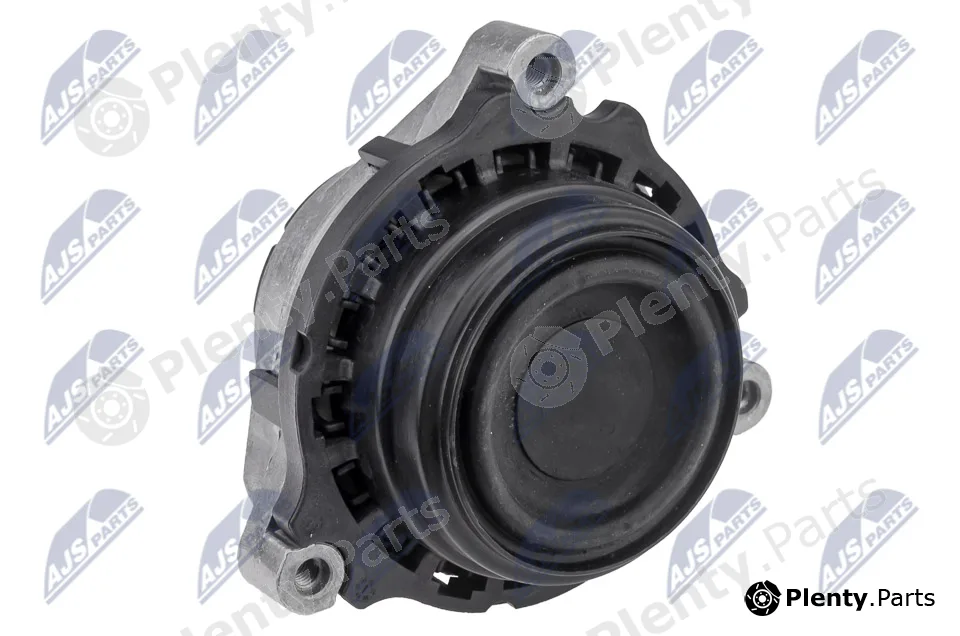 NTY ZPS-BM-029 — Mounting, engine