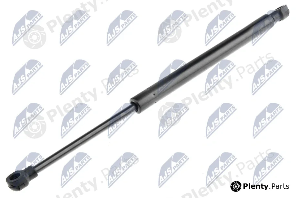 NTY AE-AR-007 — Gas Spring, bonnet