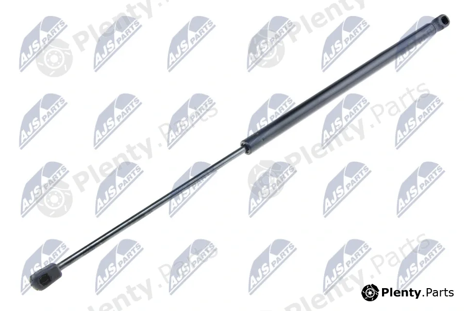 NTY AE-FR-022 — Gas Spring, boot/cargo area