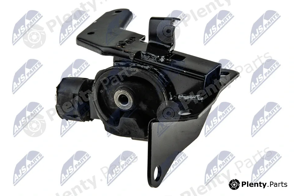 NTY ZPS-TY-165 — Mounting, engine