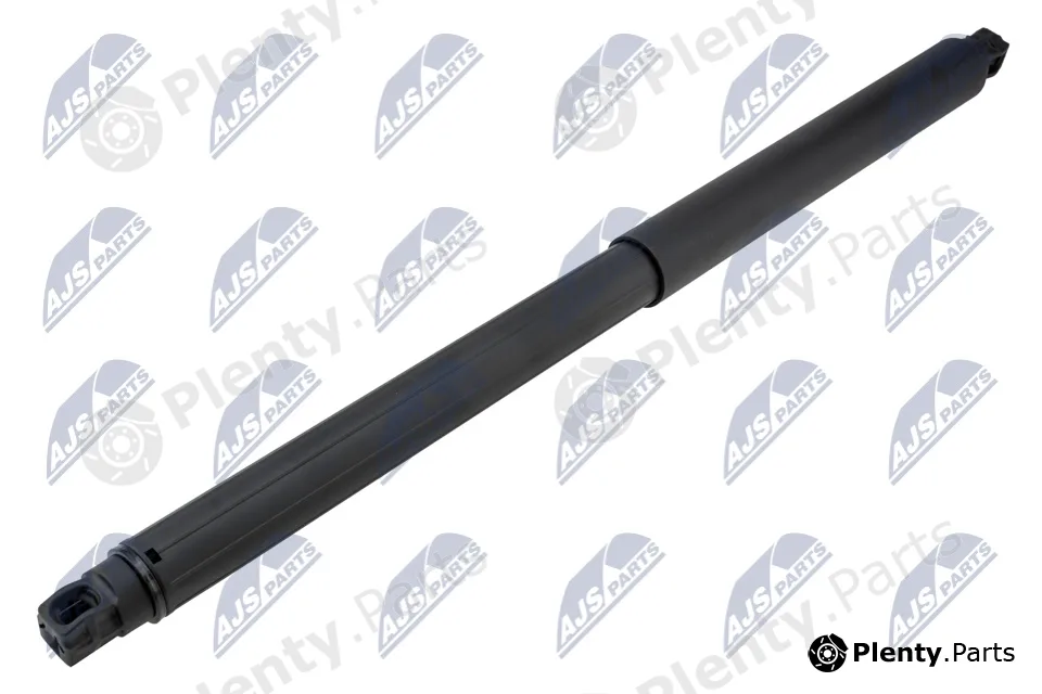 NTY AE-CH-060 — Gas Spring, boot/cargo area