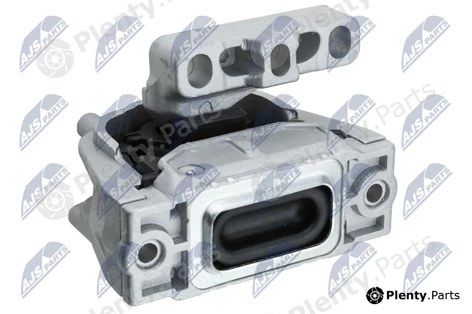 NTY ZPS-AU-004 — Mounting, engine