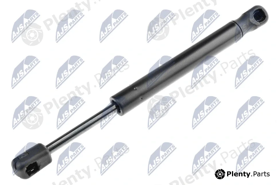 NTY AE-MZ-014 — Gas Spring, boot/cargo area