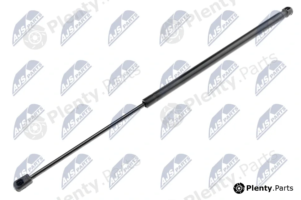 NTY AE-CT-020 — Gas Spring, boot/cargo area
