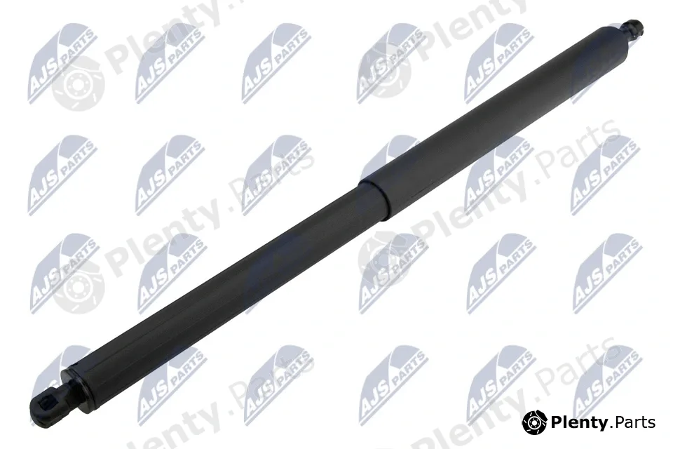 NTY AE-FR-072 — Gas Spring, boot/cargo area