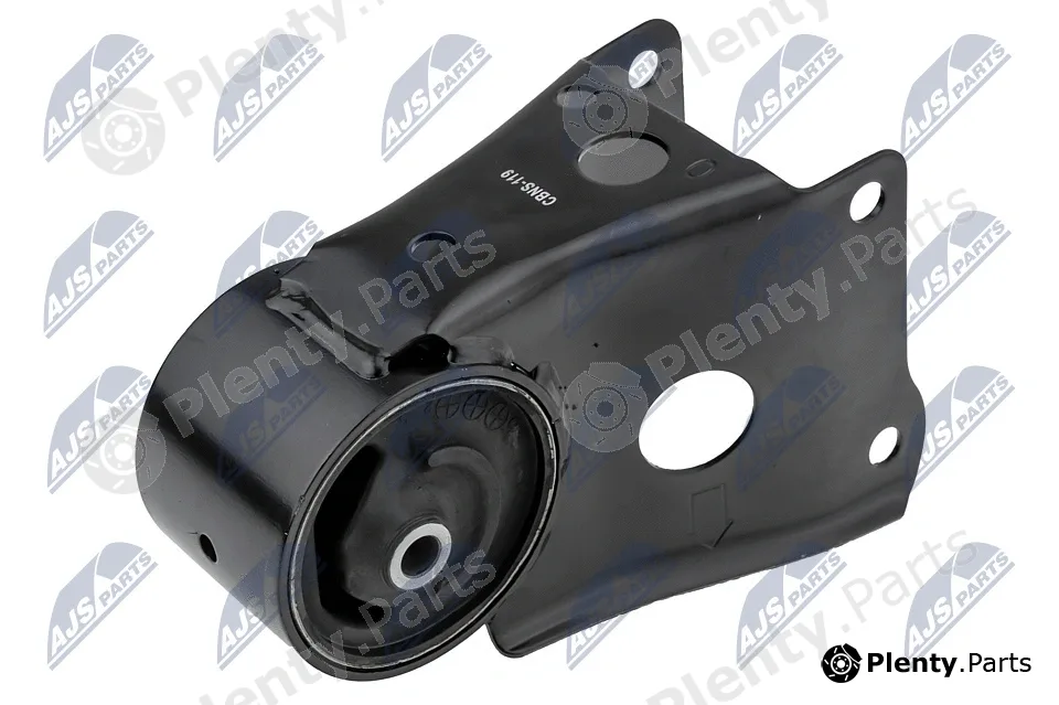 NTY ZPS-NS-119 — Mounting, engine