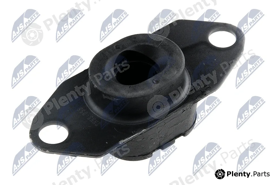 NTY ZPS-NS-055 — Mounting, engine