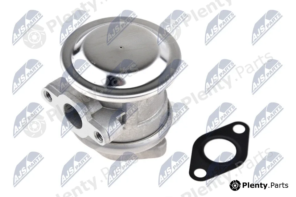 NTY EWP-AU-004 — Valve, secondary air pump system