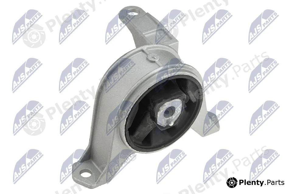 NTY ZPS-PL-016 — Mounting, engine