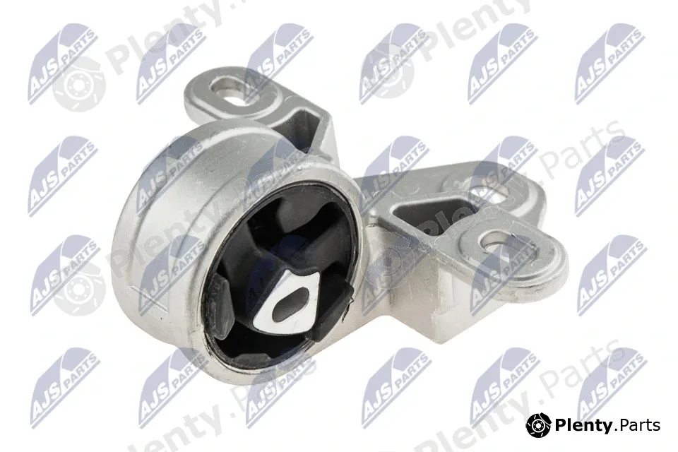 NTY ZPS-CH-001 — Mounting, engine