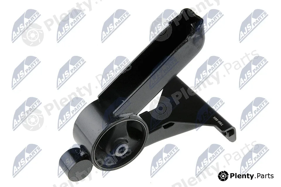 NTY ZPS-SU-005 — Mounting, engine