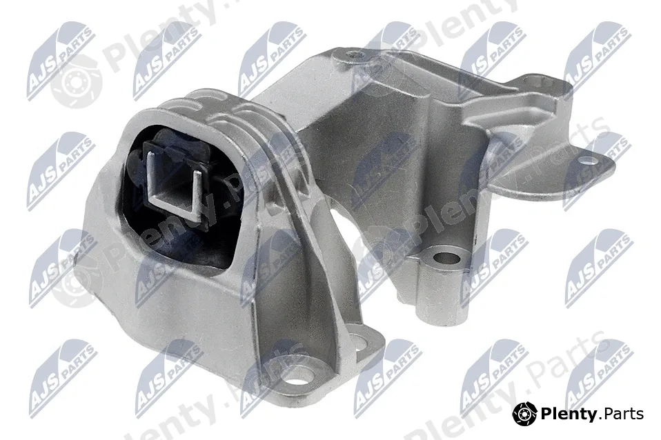 NTY ZPS-RE-008 — Mounting, engine
