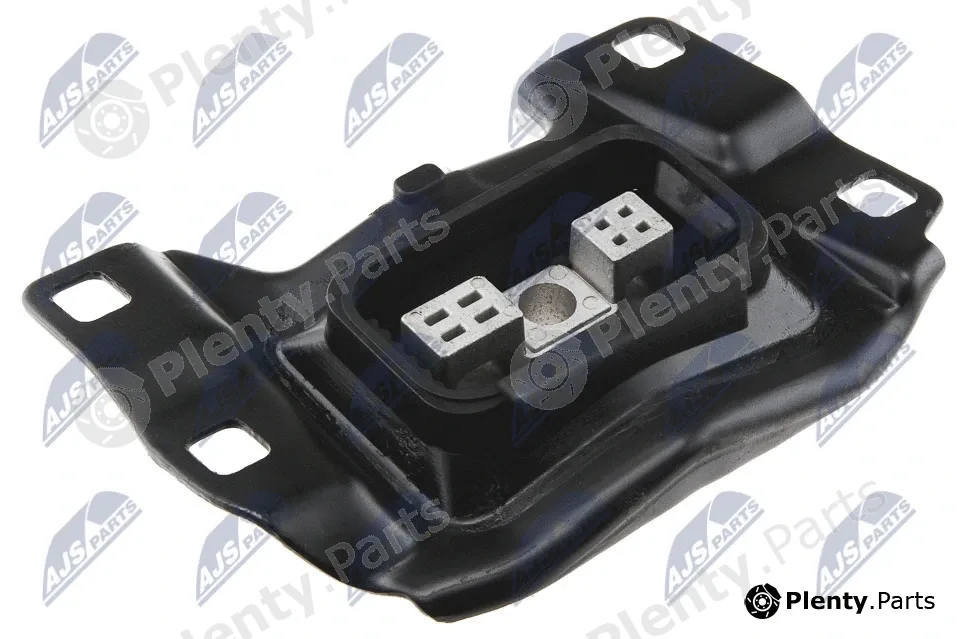 NTY ZPS-FR-016 — Mounting, engine