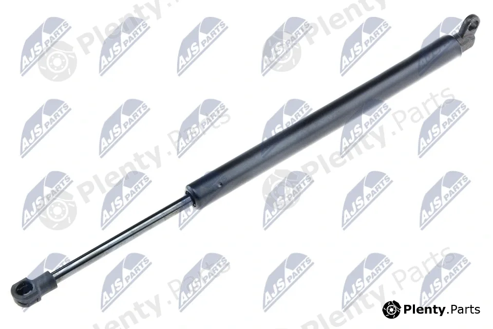 NTY AE-BM-010 — Gas Spring, boot/cargo area