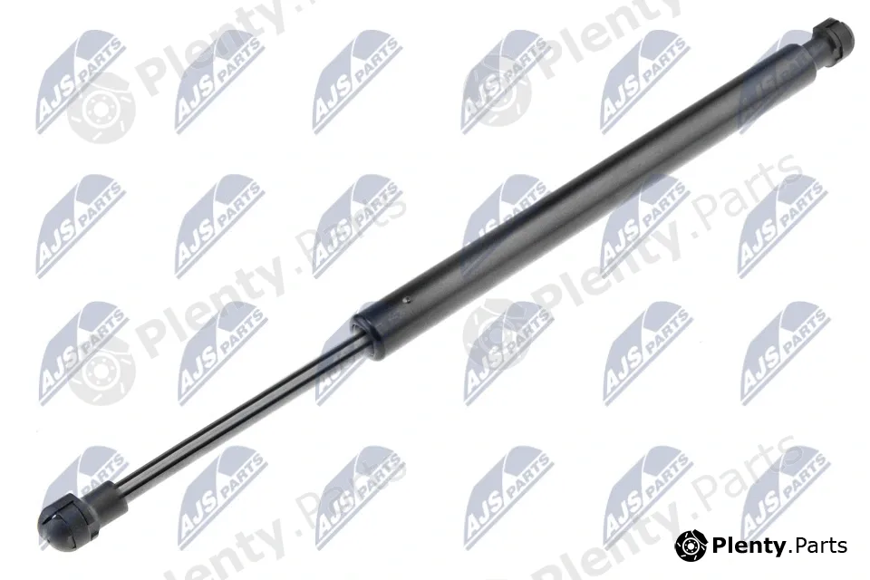NTY AE-BM-008 — Gas Spring, boot/cargo area