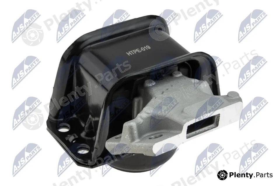 NTY ZPS-PE-019 — Mounting, engine