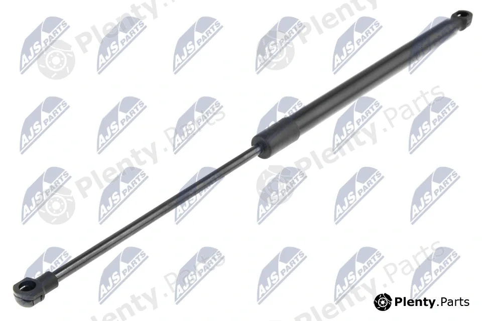 NTY AE-DW-017 — Gas Spring, boot/cargo area