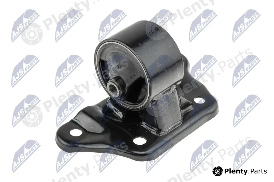 NTY ZPS-MS-001 — Mounting, engine