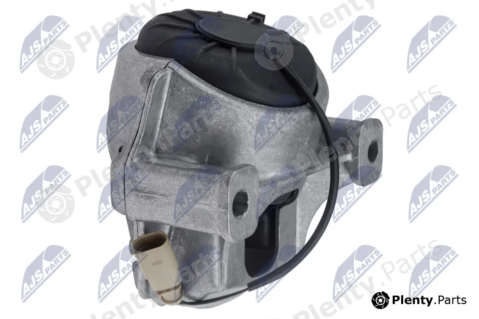 NTY ZPS-PS-005 — Mounting, engine