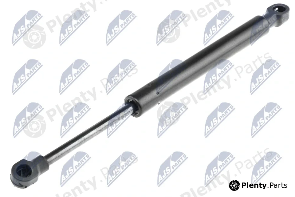 NTY AE-AR-011 — Gas Spring, boot/cargo area