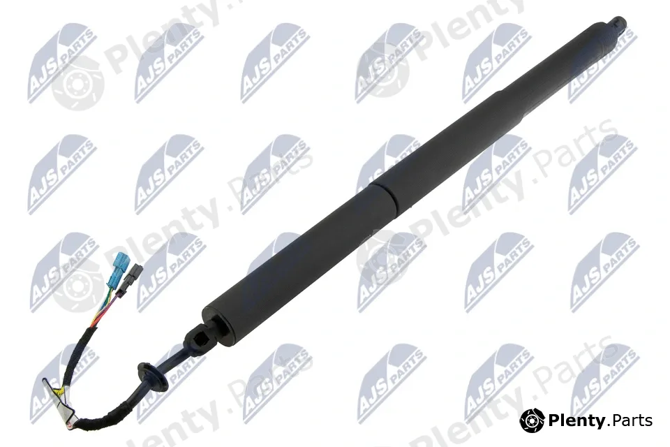 NTY AE-BM-112 — Gas Spring, boot/cargo area