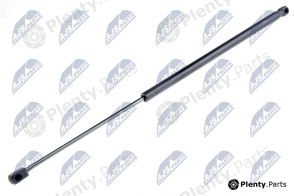 NTY AE-FT-031 — Gas Spring, boot/cargo area