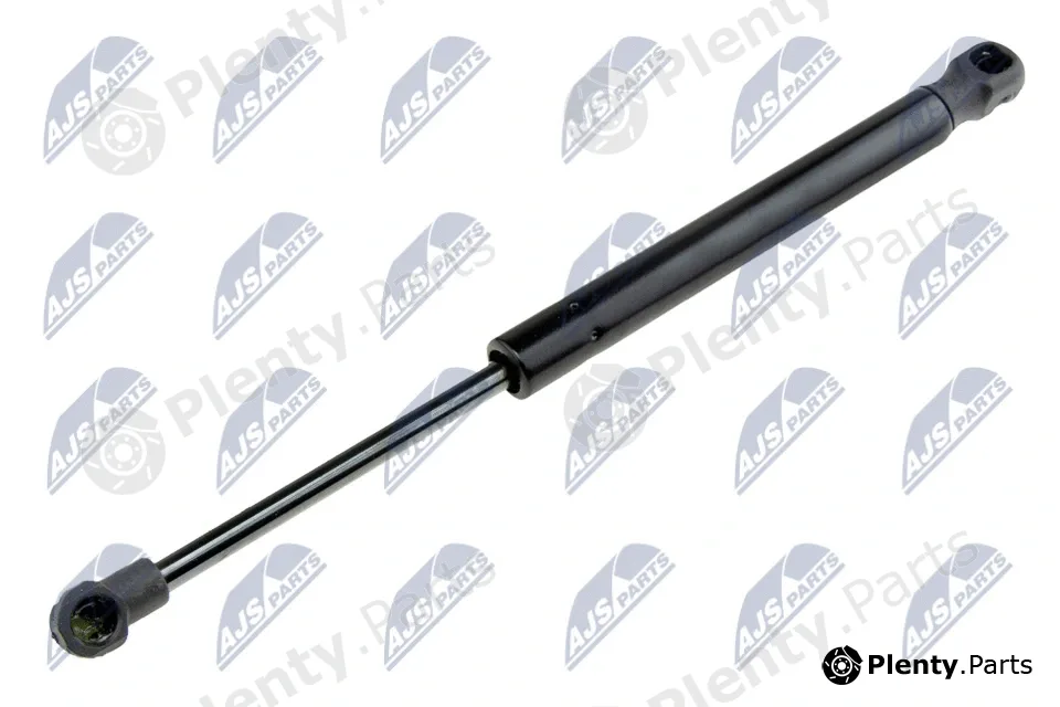 NTY AE-FT-012 — Gas Spring, boot/cargo area