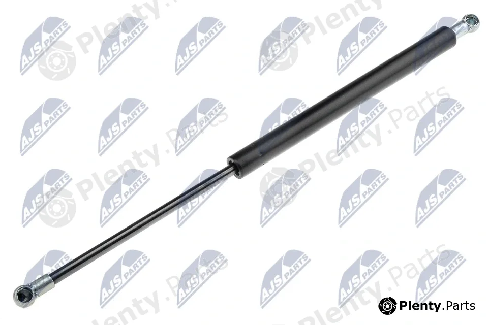NTY AE-AR-003 — Gas Spring, bonnet