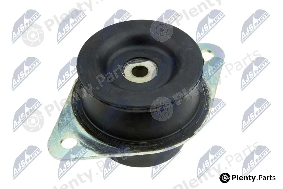NTY ZPS-PL-085 — Mounting, engine