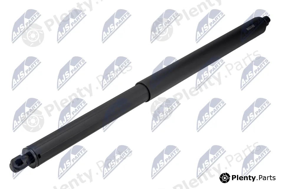 NTY AE-CH-065 — Gas Spring, boot/cargo area