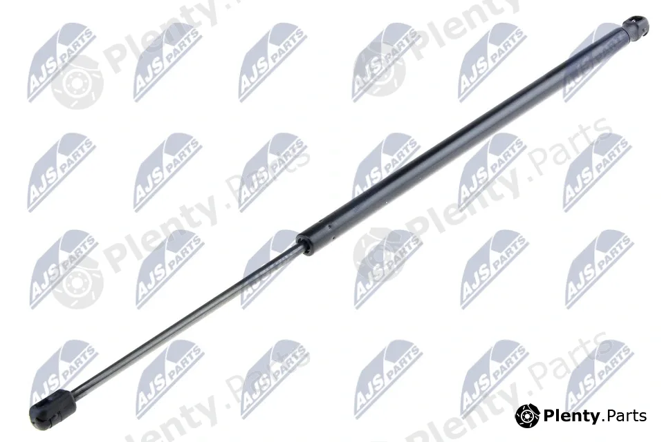 NTY AE-BM-043 — Gas Spring, boot/cargo area