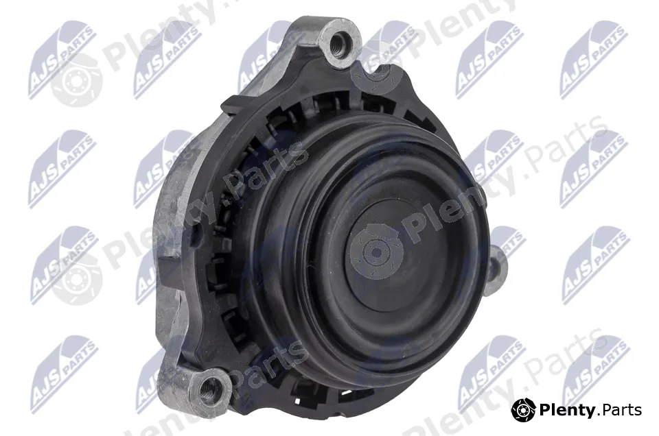 NTY ZPS-BM-030 — Mounting, engine