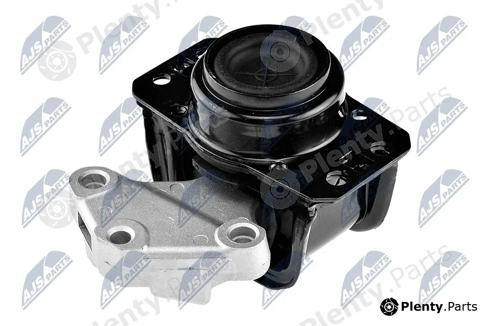 NTY ZPS-PE-008 — Mounting, engine