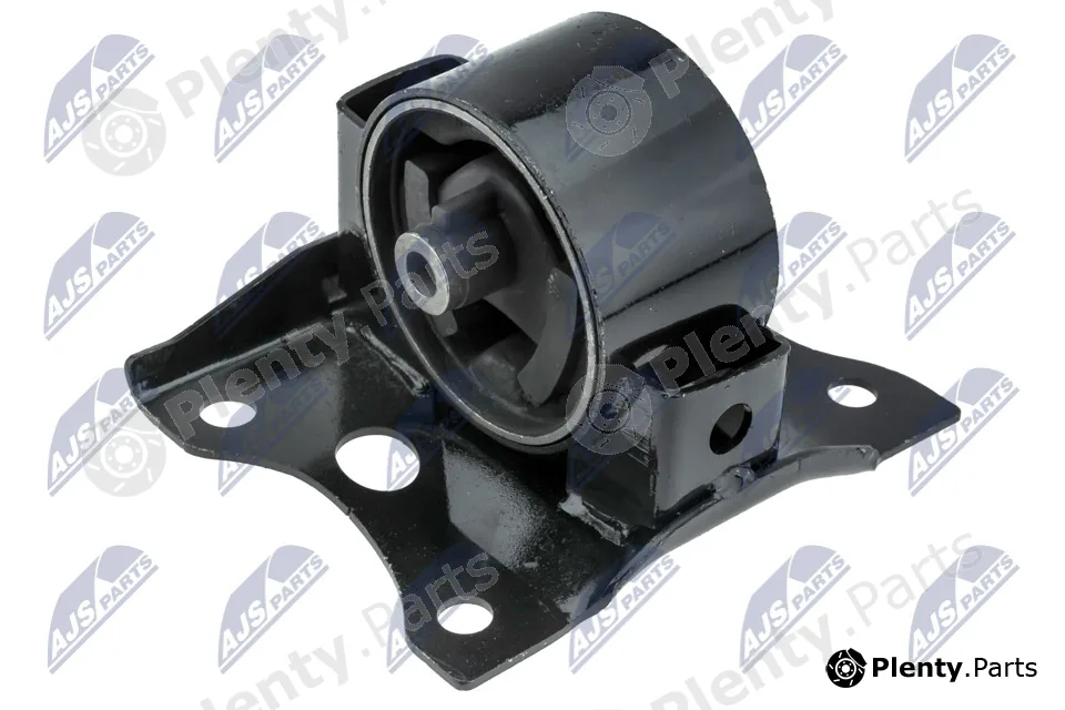 NTY ZPS-NS-118 — Mounting, engine