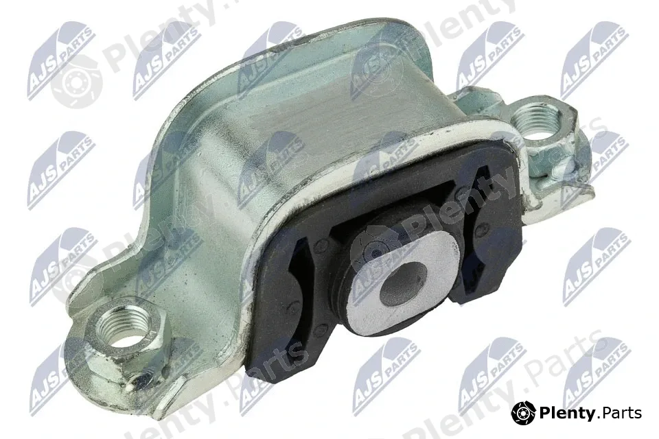 NTY ZPS-PE-016 — Mounting, engine