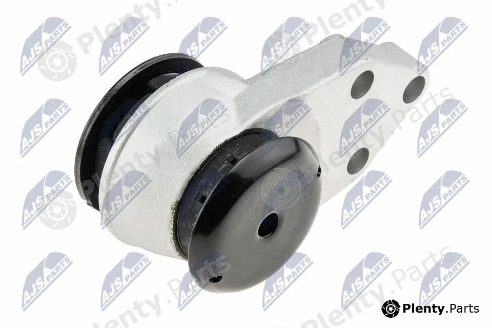 NTY ZPS-MZ-041 — Mounting, engine