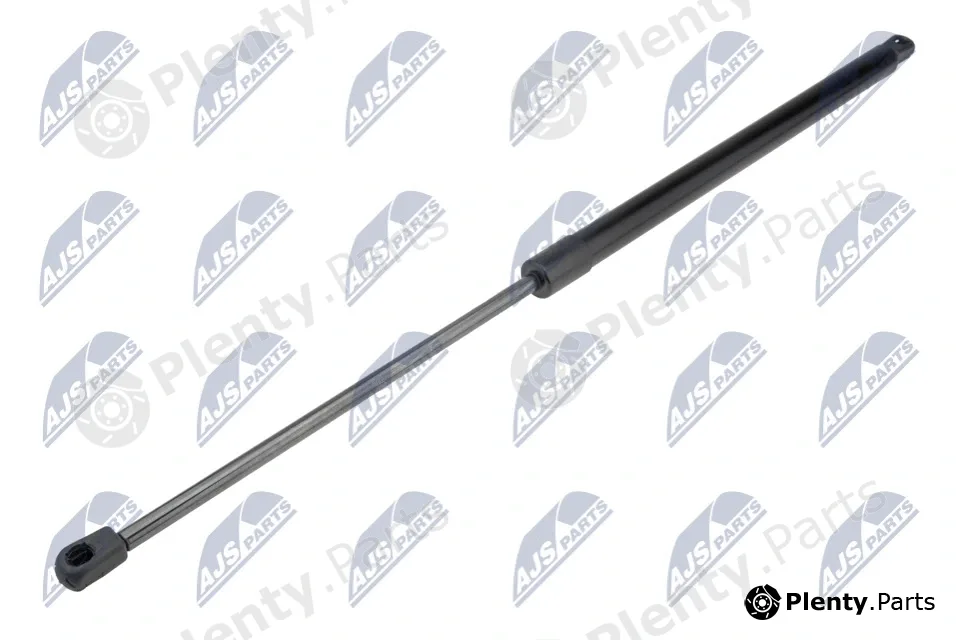 NTY AE-CH-041 — Gas Spring, boot/cargo area