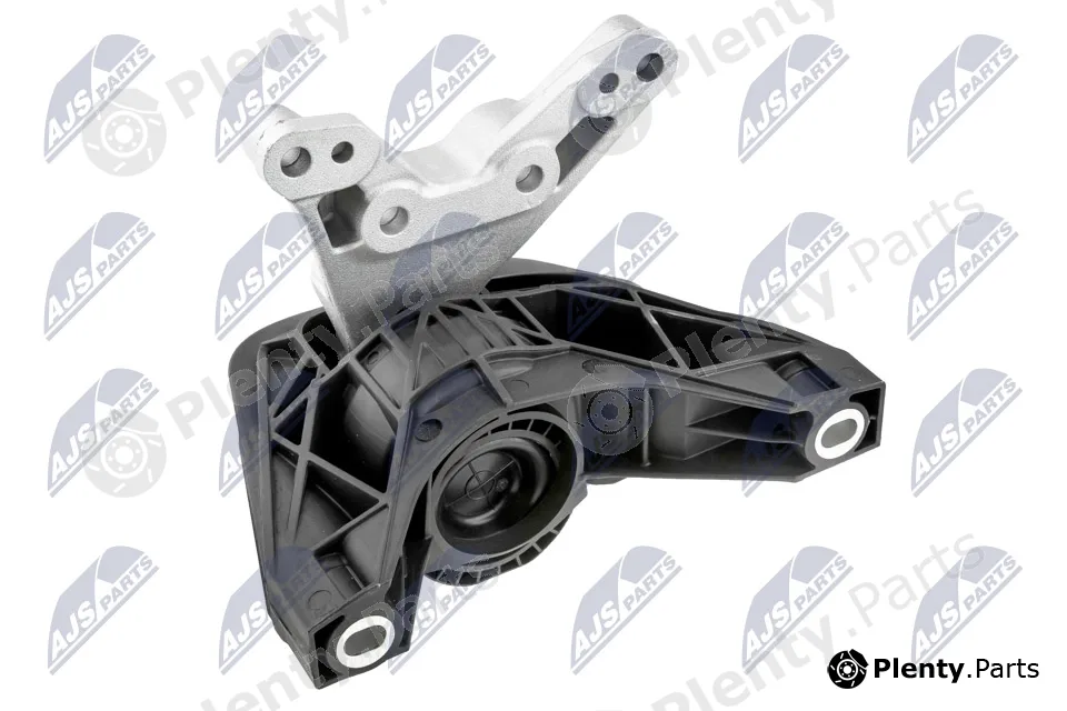 NTY ZPS-PL-081 — Mounting, engine