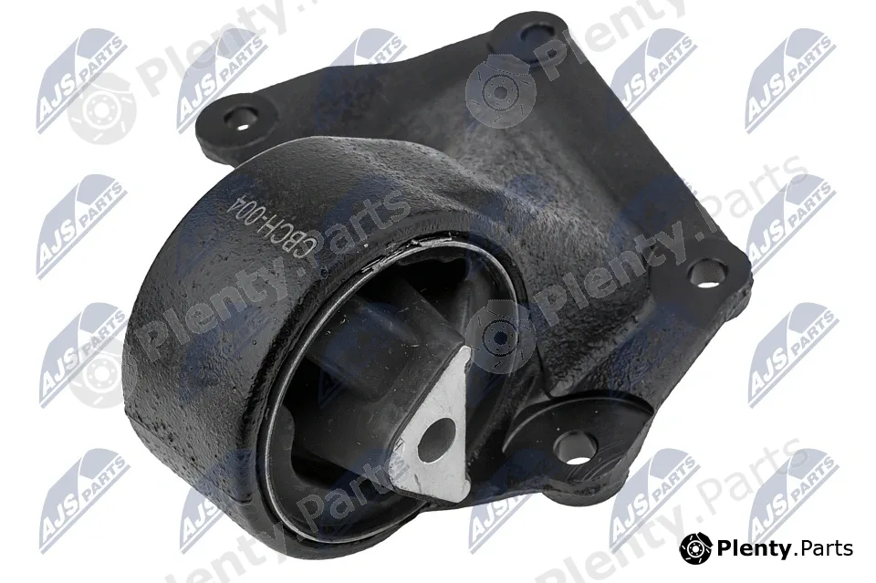 NTY ZPS-CH-004 — Mounting, engine