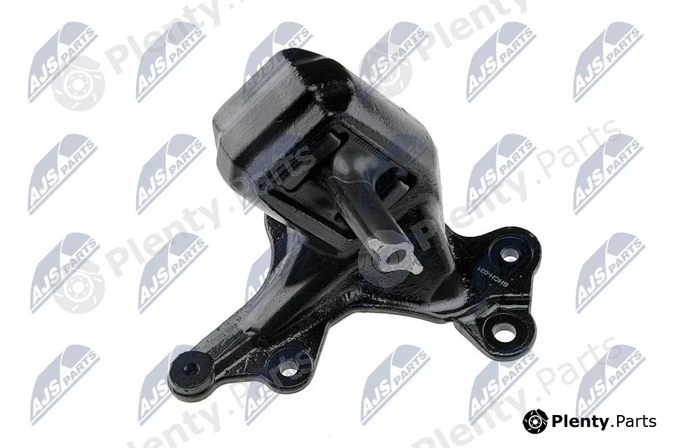 NTY ZPS-CH-031 — Mounting, engine