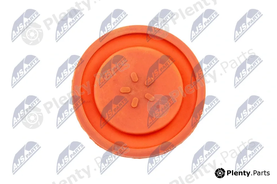 NTY BPZ-PL-006 — Cylinder Head Cover