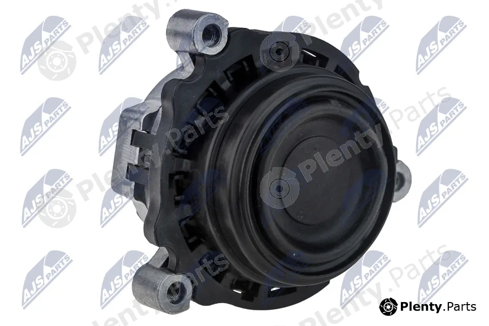 NTY ZPS-BM-027 — Mounting, engine