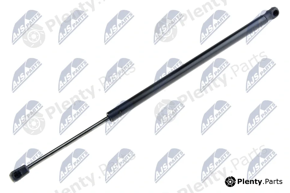 NTY AE-BM-055 — Gas Spring, boot/cargo area
