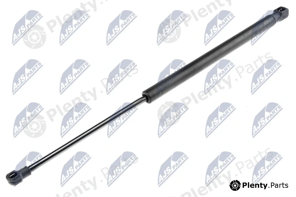 NTY AE-AR-015 — Gas Spring, boot/cargo area